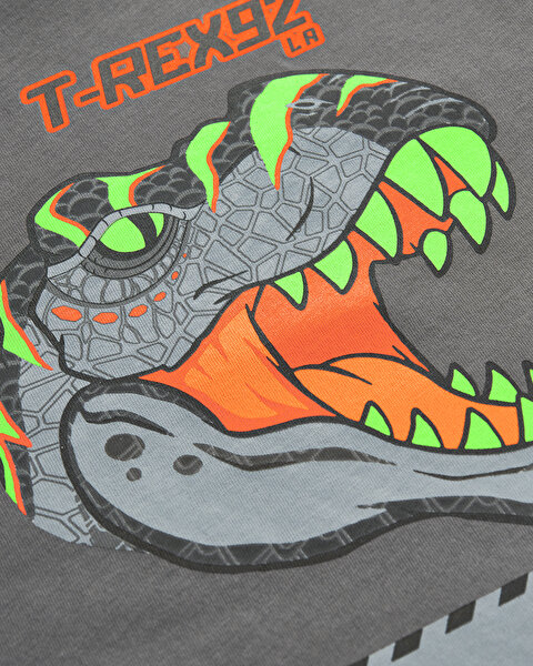 Skechers Graphic Tee B Short Sleeve Büyük Erkek Çocuk Gri Tshirt SK241093-035-3