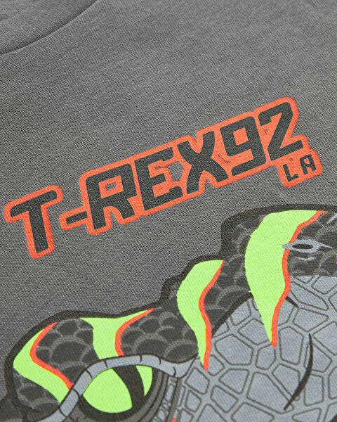 Skechers Graphic Tee B Short Sleeve Büyük Erkek Çocuk Gri Tshirt SK241093-035-5