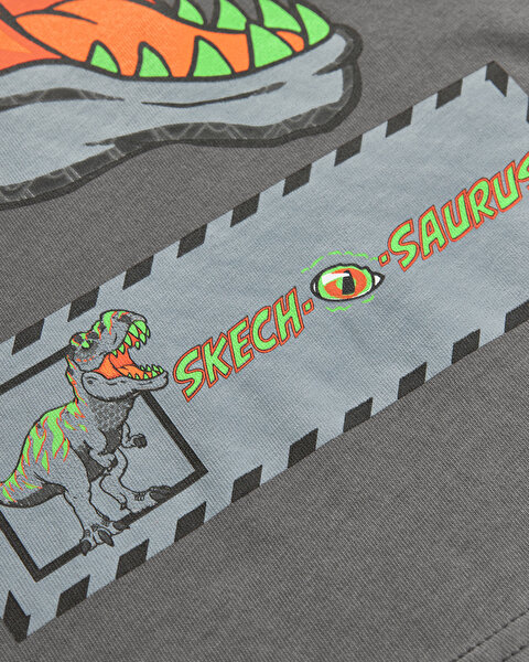 Skechers Graphic Tee B Short Sleeve Büyük Erkek Çocuk Gri Tshirt SK241093-035-4